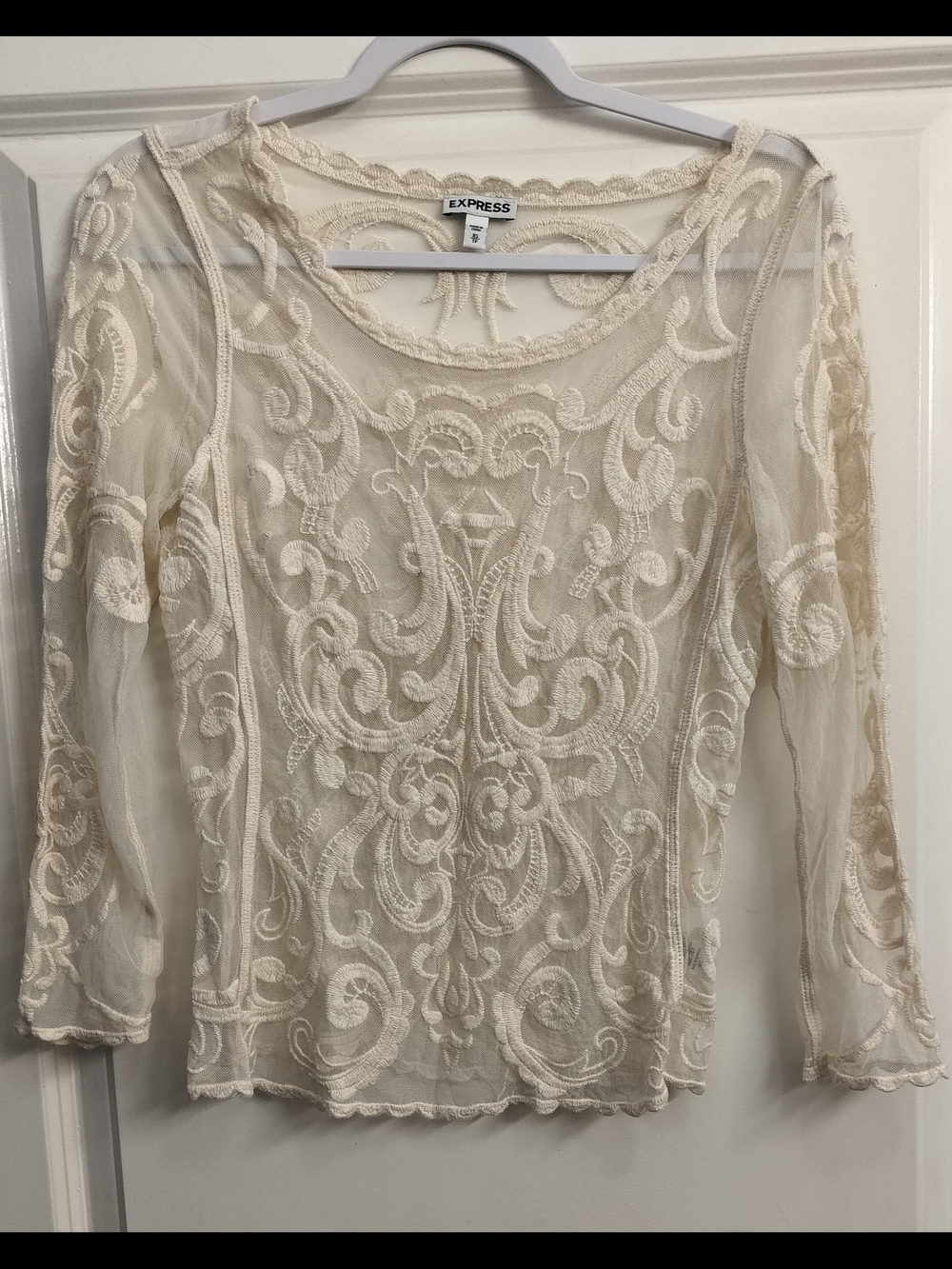 Express Women's Cream Embroidered Mesh Long Sleeve Top